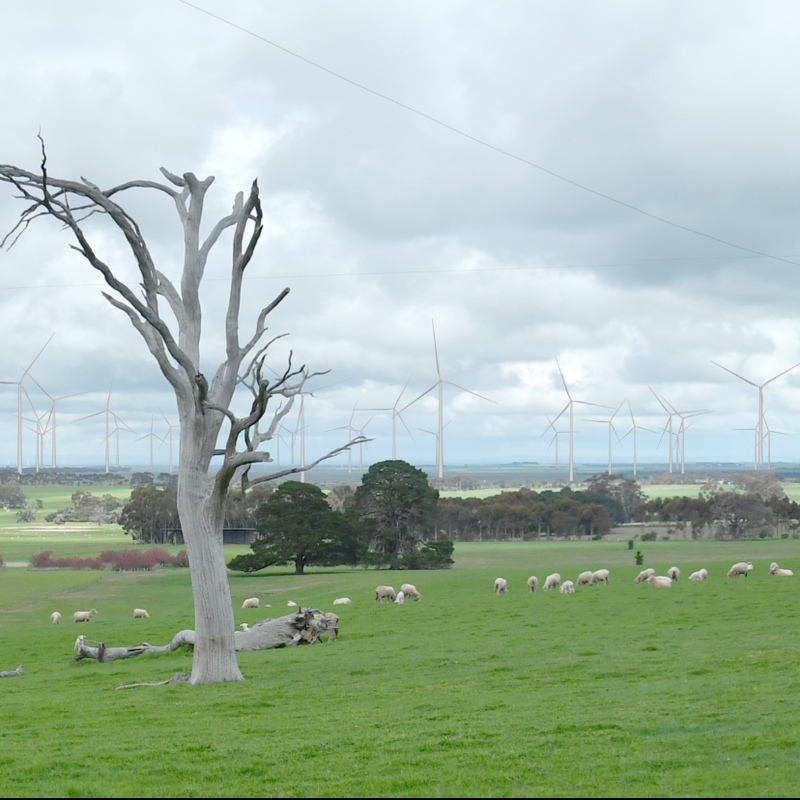 Photo of Golden Plains Wind Farm