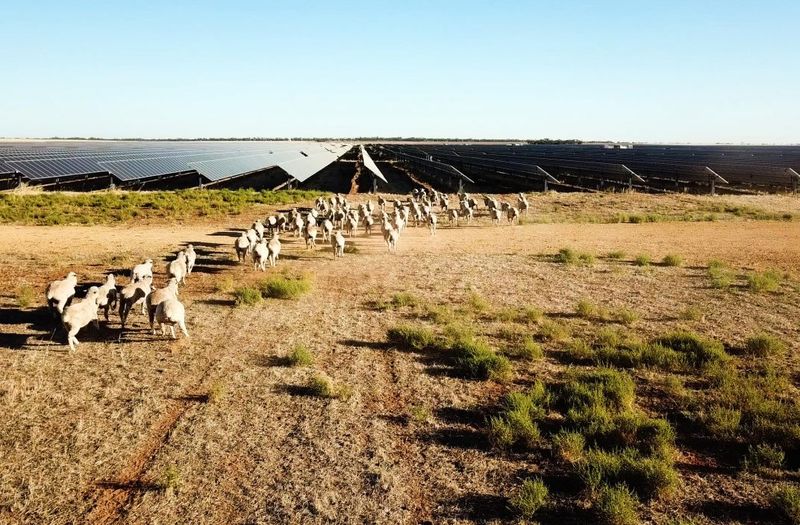Gannawarra Solar Farm