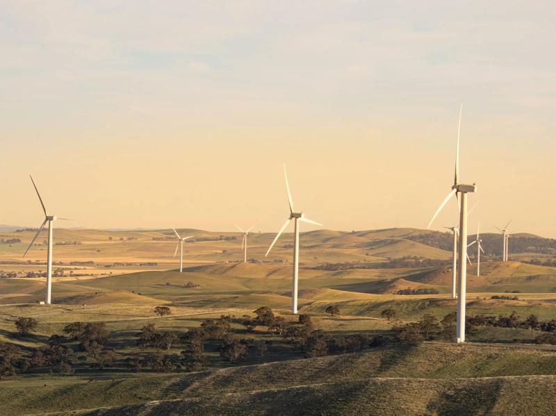North Brown Hill Wind Farm