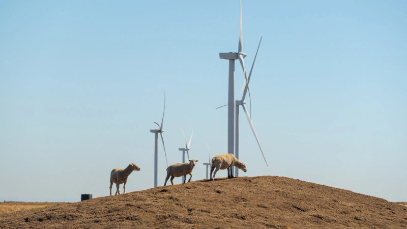 Mt Gellibrand Wind Farm