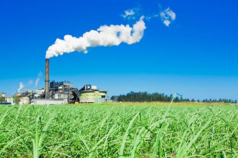 Pioneer Sugar Mill