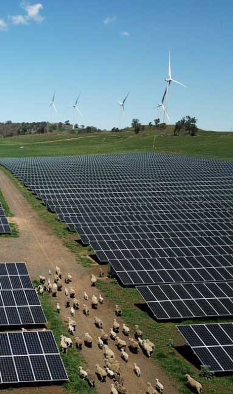 White Rock Solar Farm