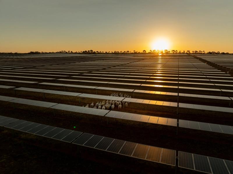 Wemen Solar Farm