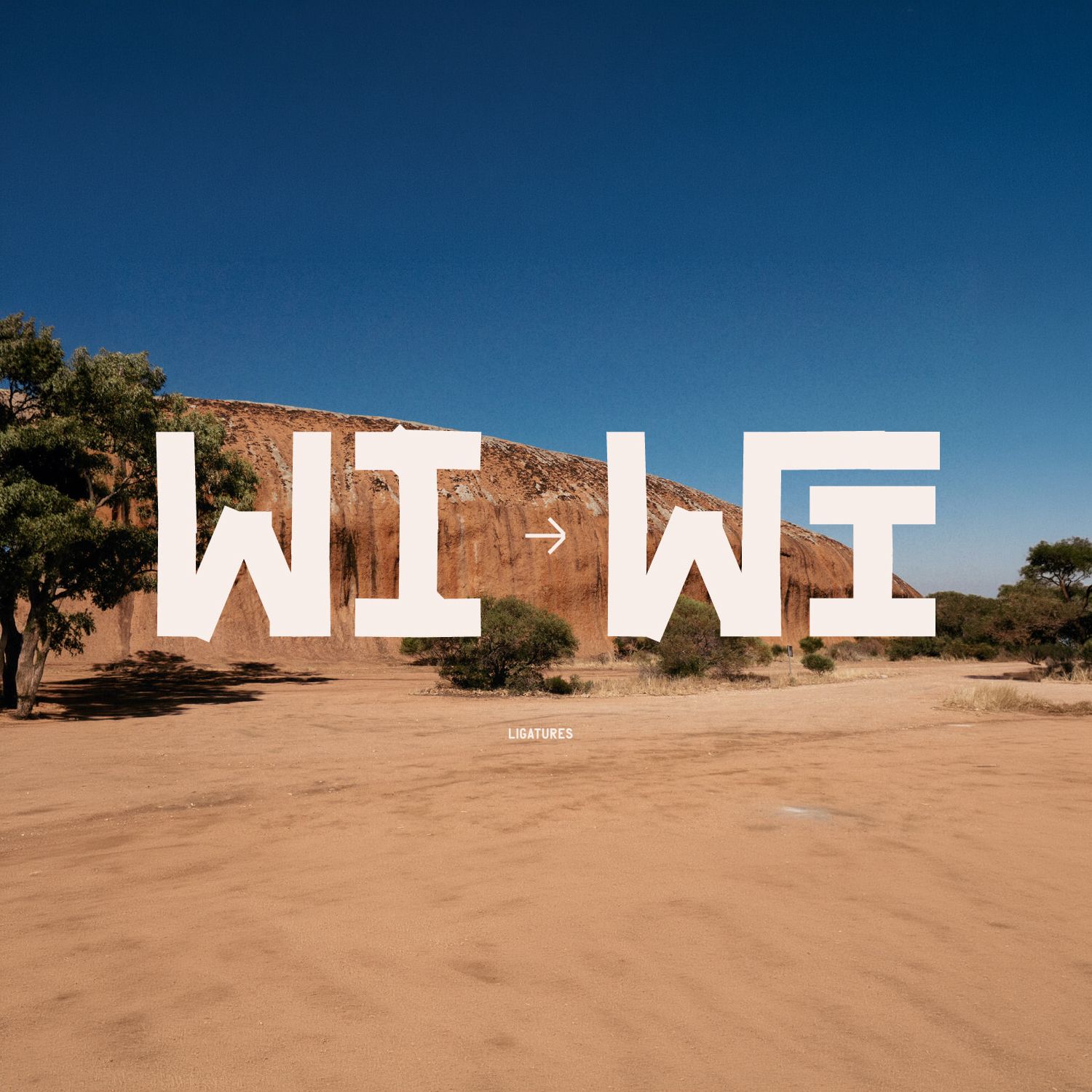 An outback shot showing the wild side branding overlay