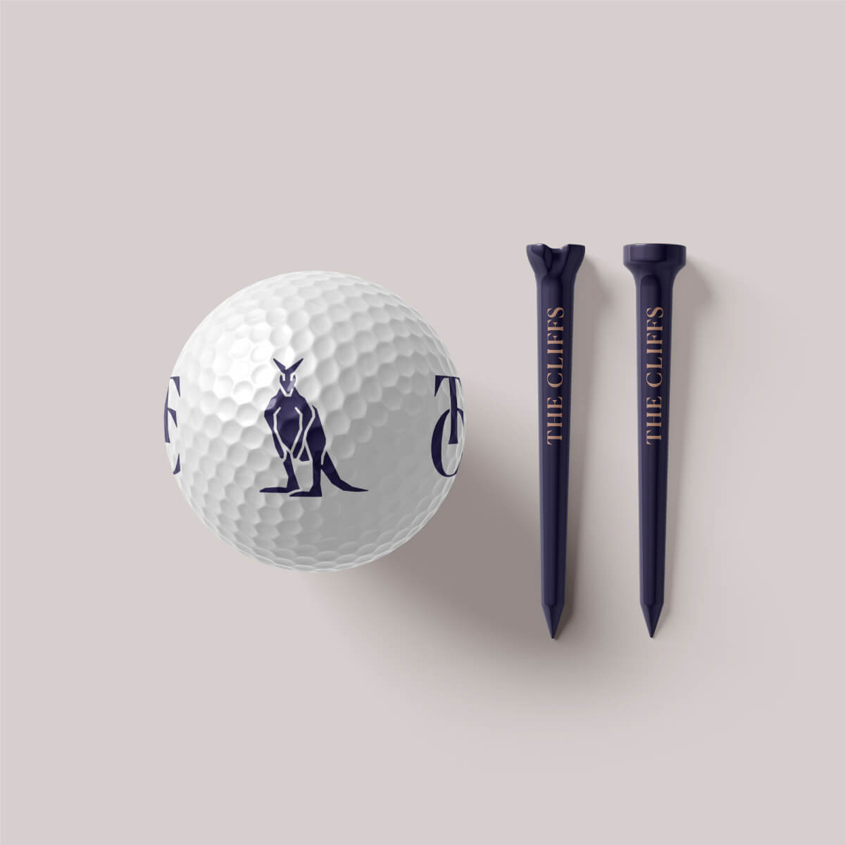 Branded Golf Ball and Tees