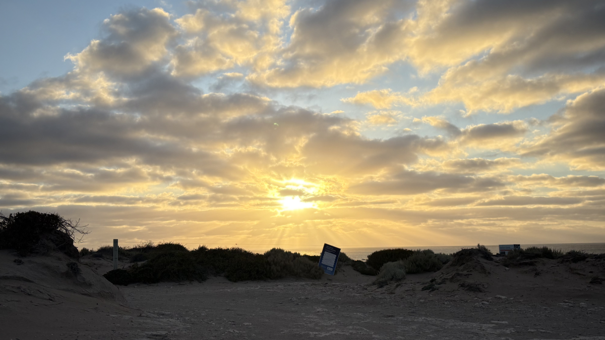 Sun setting over sand dunes along the South Australian coast.