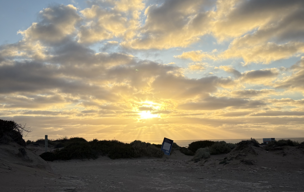 Sun setting over sand dunes along the South Australian coast.