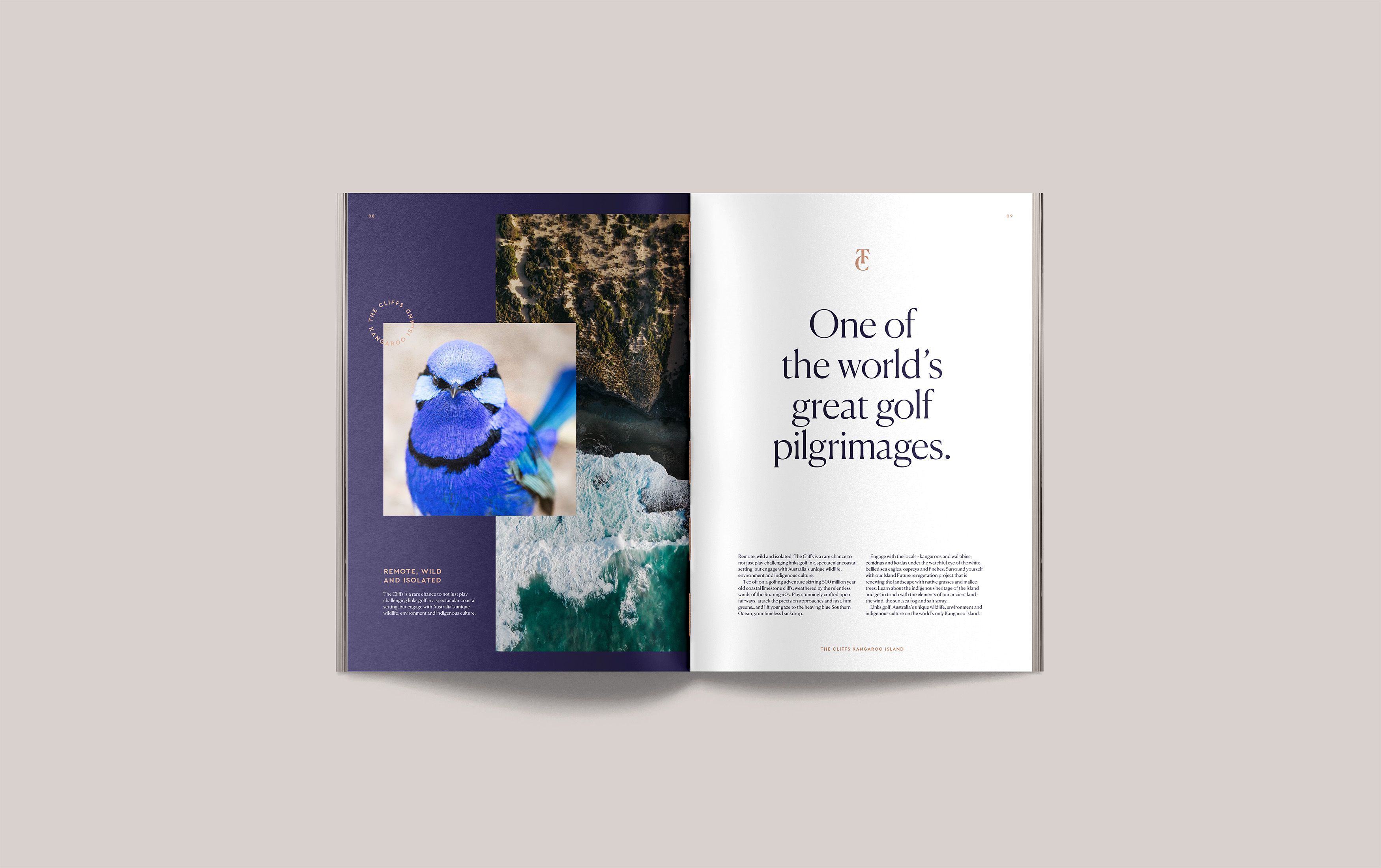 Brand colour palette applied to a book layout