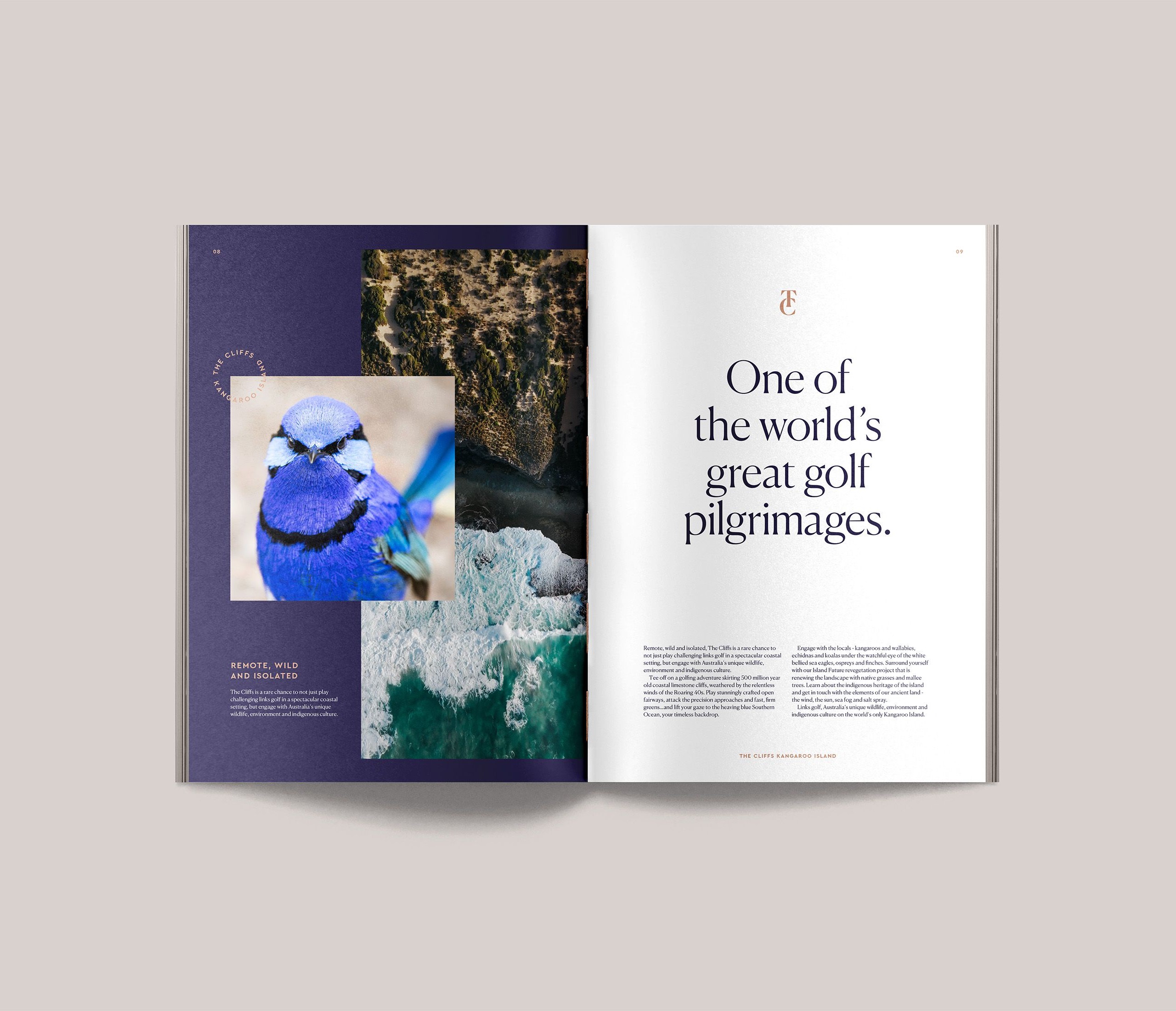 Brand colour palette applied to a book layout