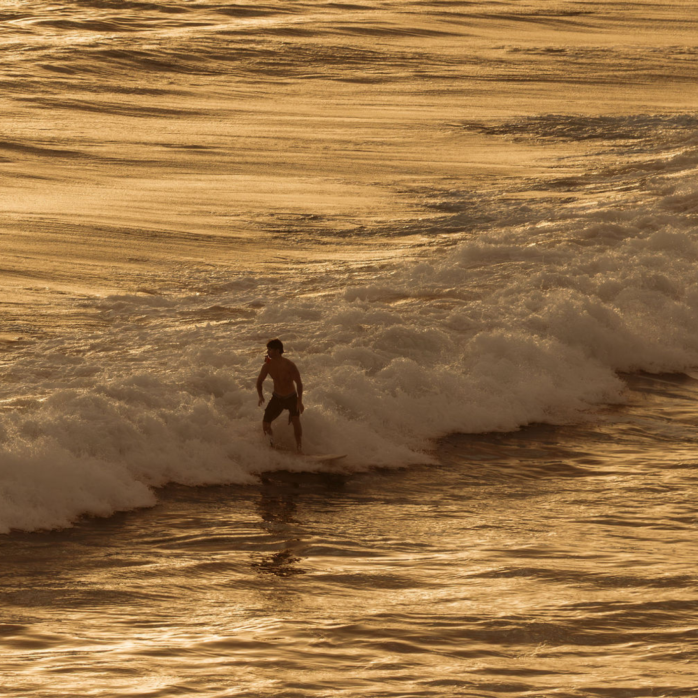Surfer riding a wave at sunset along the South Australian coast.