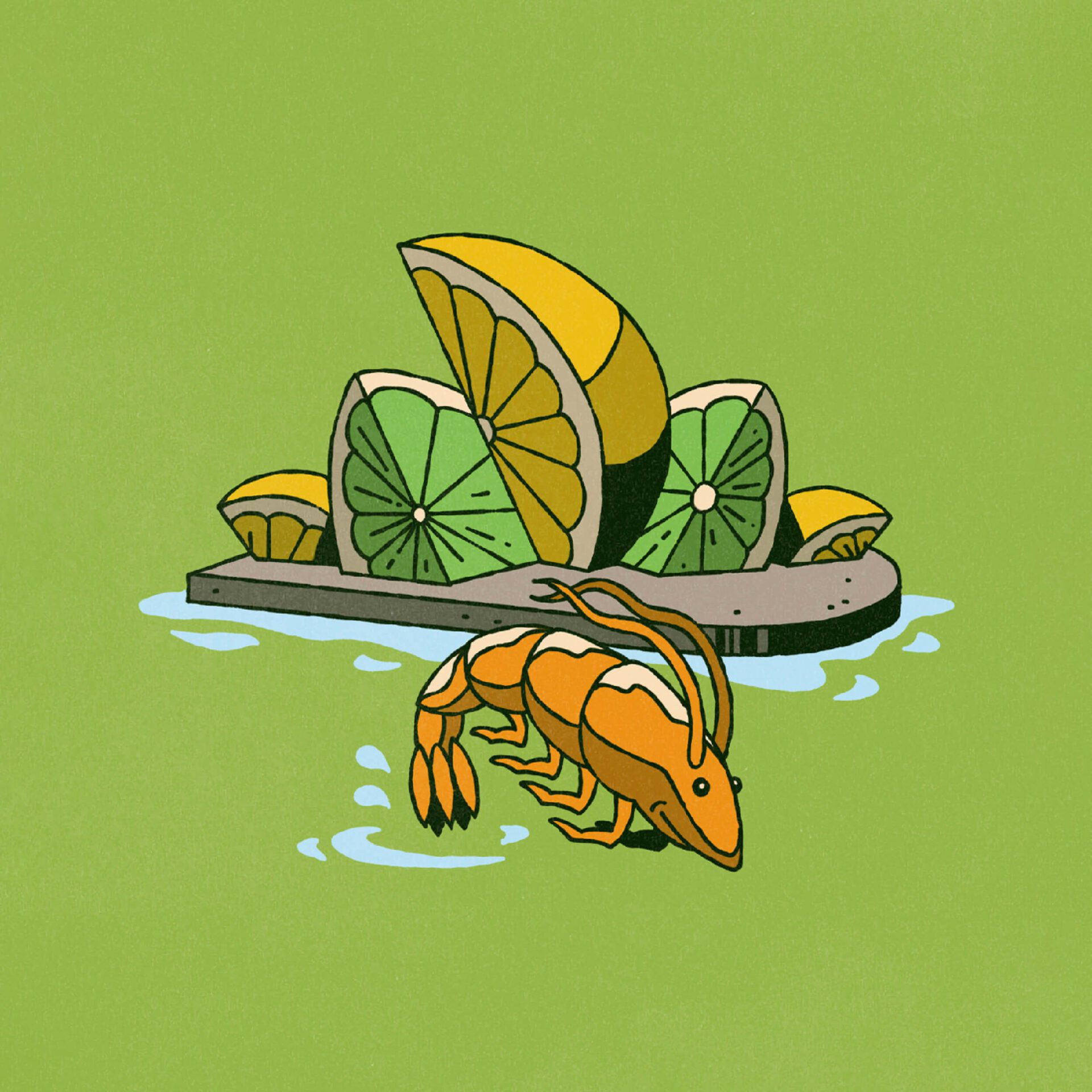 illustration of shrimp and lemon and lime