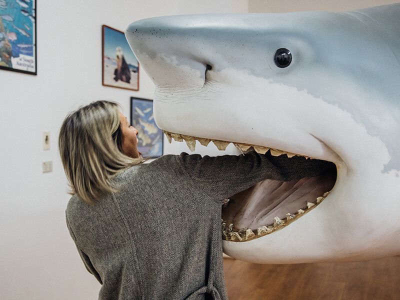 A person putting their arm inside a fake shark display