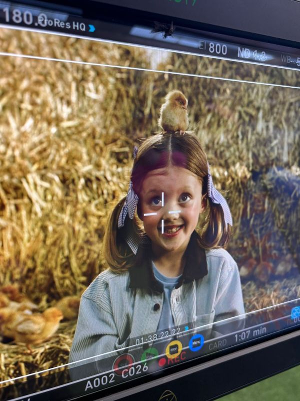 Child being filmed surrounded by animals for show campaign