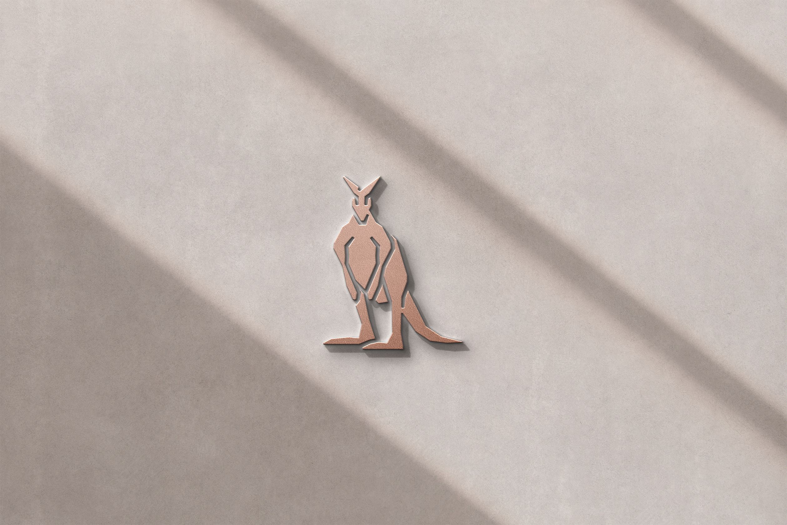 Roo Icon Mockup on a Textured Wall