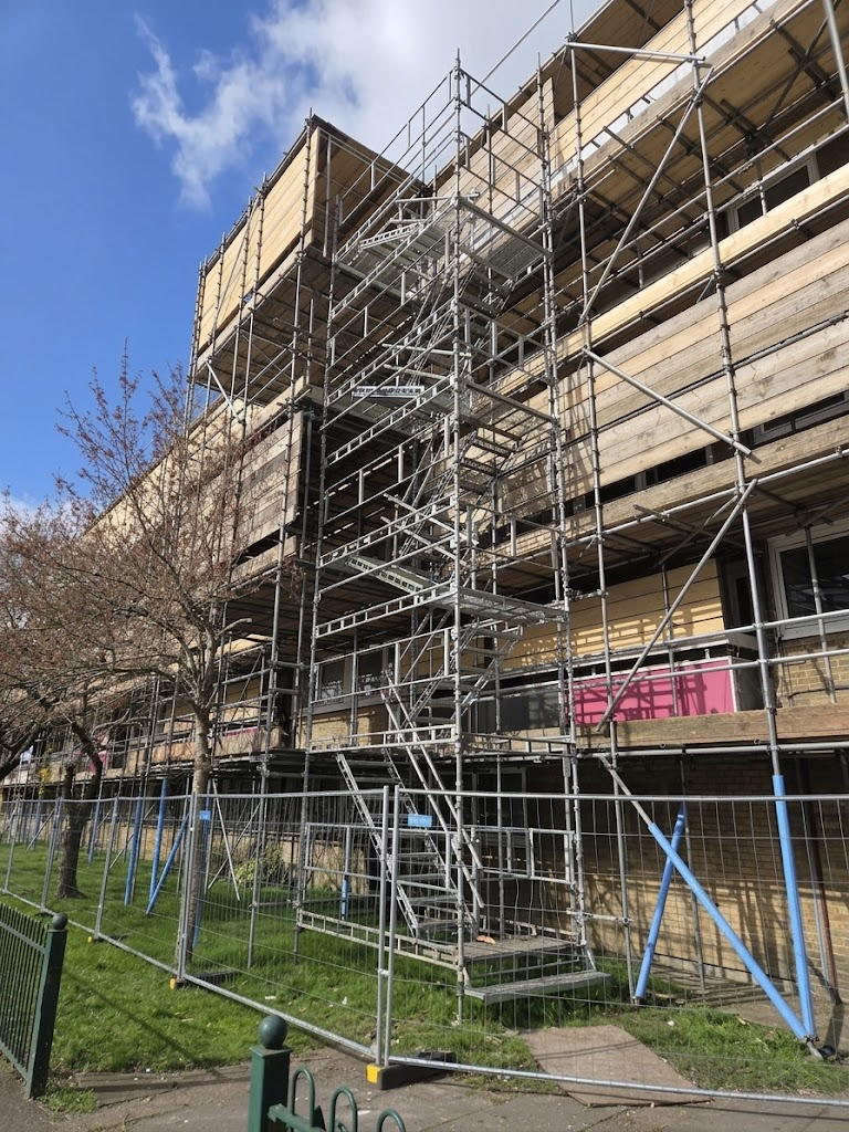 Engineered & Designed Scaffolds