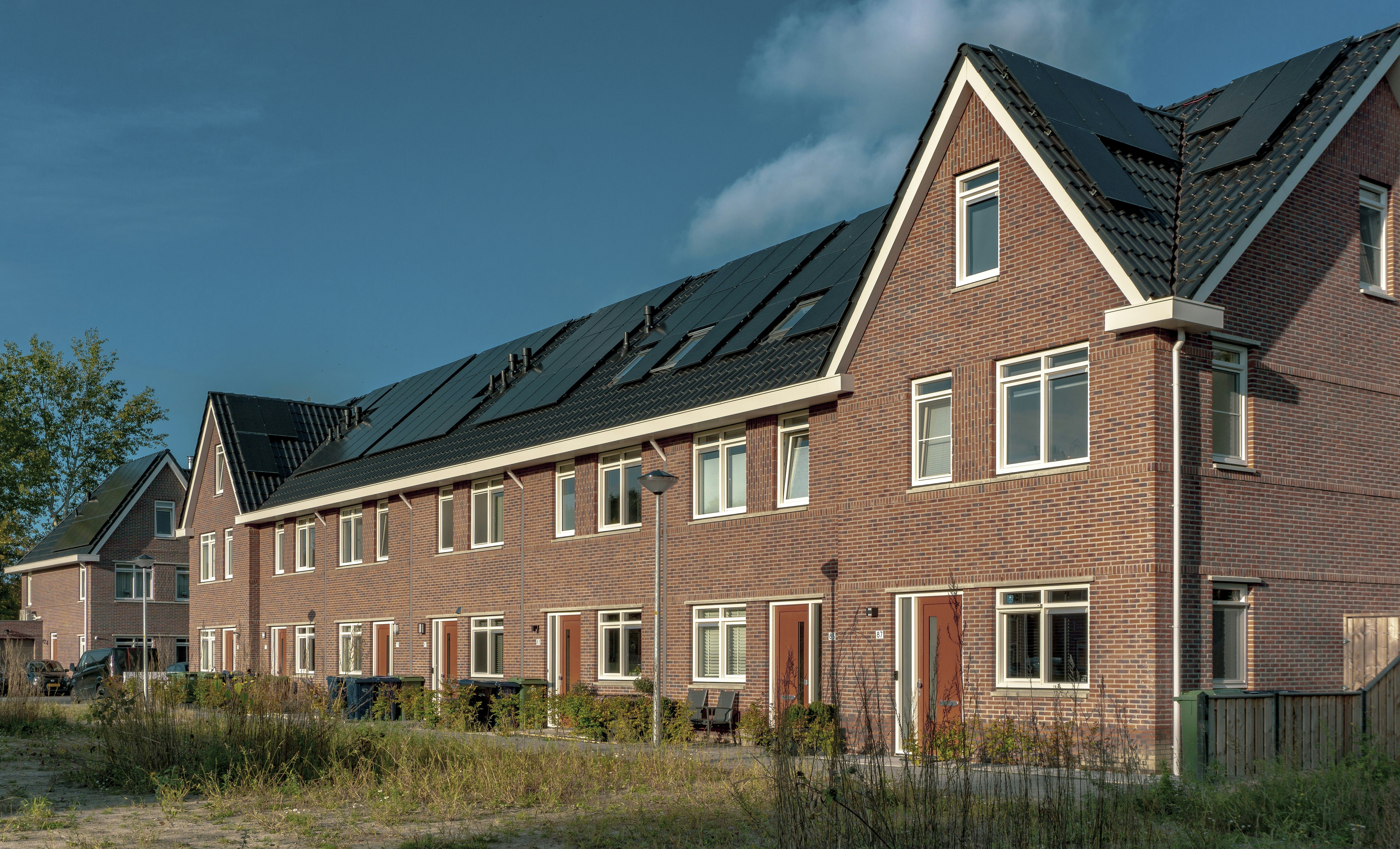 Green Roofing Solutions