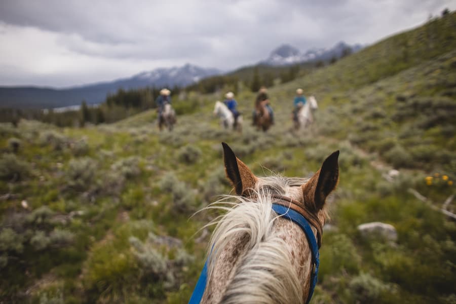 Horseback riding deals stanley idaho