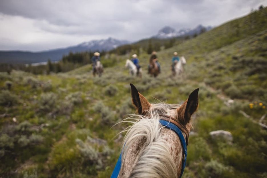 Here are a few of the reasons you should hire horseback trail outfitters in Stanley