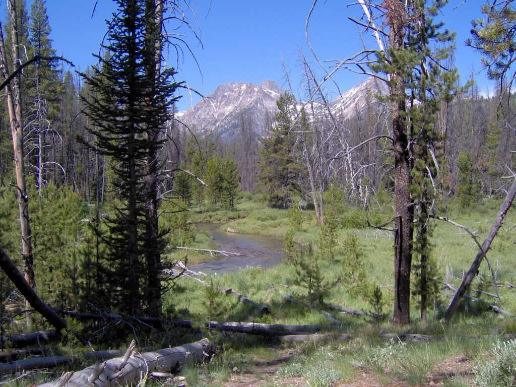 fishhook creek trail | Stanley chamber