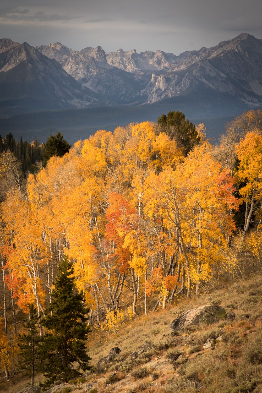 Mountains and fall colors are beautiful in Stanley, ID | Stanley Chambers