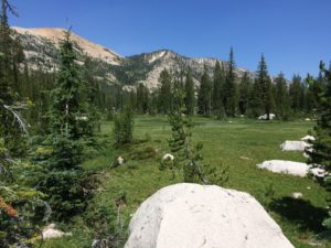 Mountain and Forest Landscape | Stanley Chamber