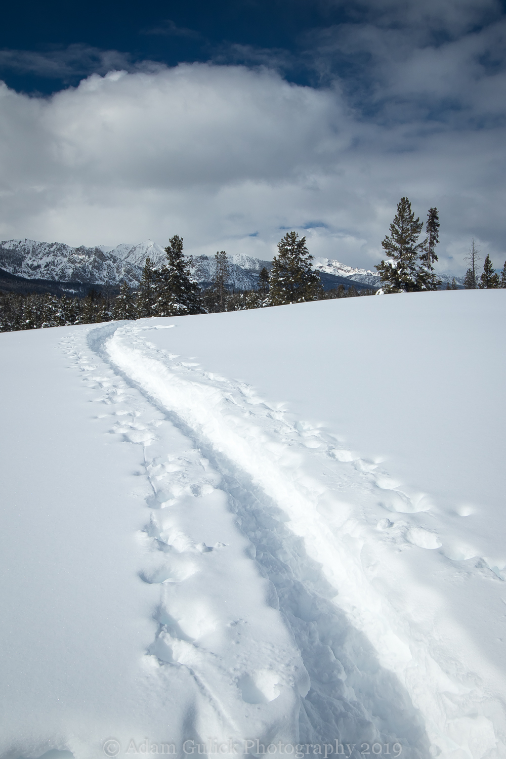 snowshoe tracks Stanley, ID | Stanley chamber