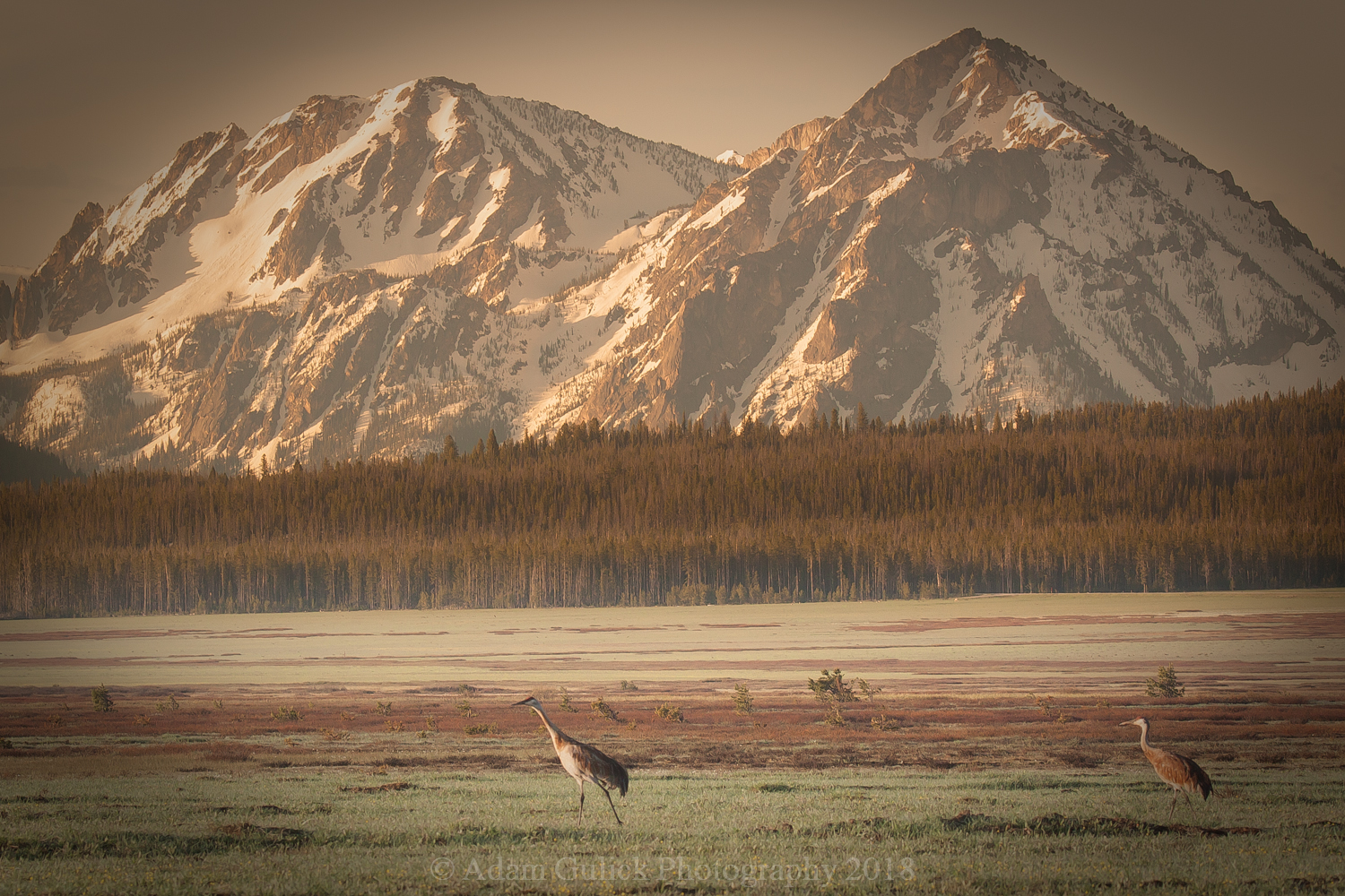 The Sawtooth mountains in Stanley, Idaho