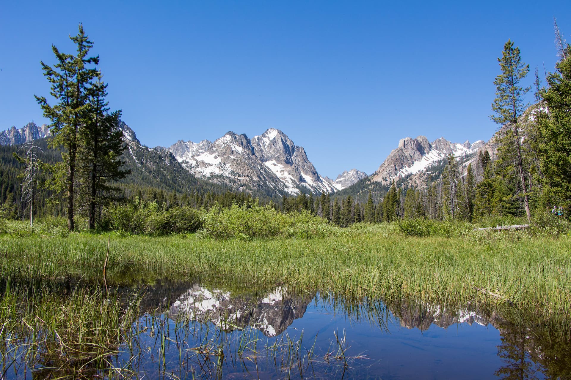 The Sawtooth mountain range behind a pond in the forest | Stanley Chamber