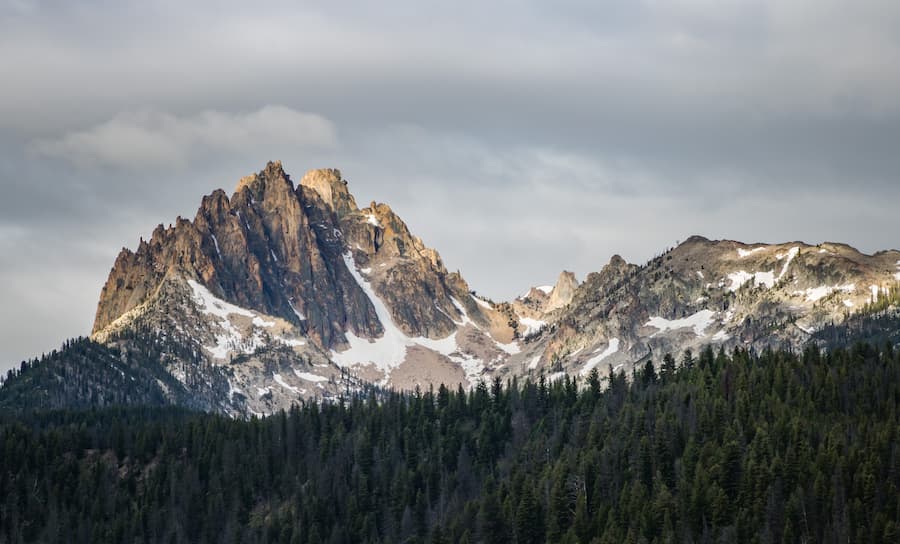 A photo of a forest with mountains towering in the background