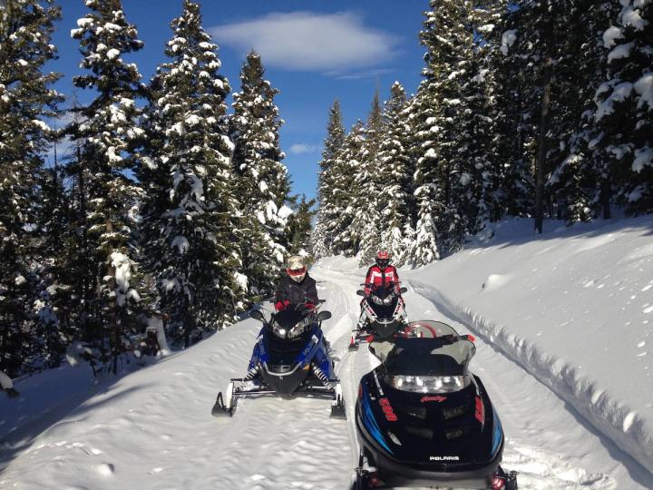 A group of snowmobilers gathered by trees in Stanley, Idaho