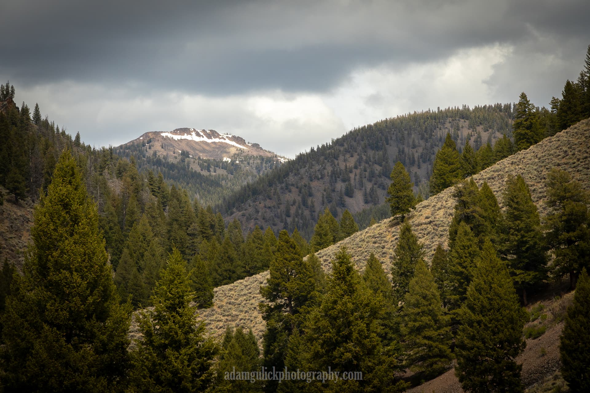 forested mountainside Stanley, ID | Stanley chamber