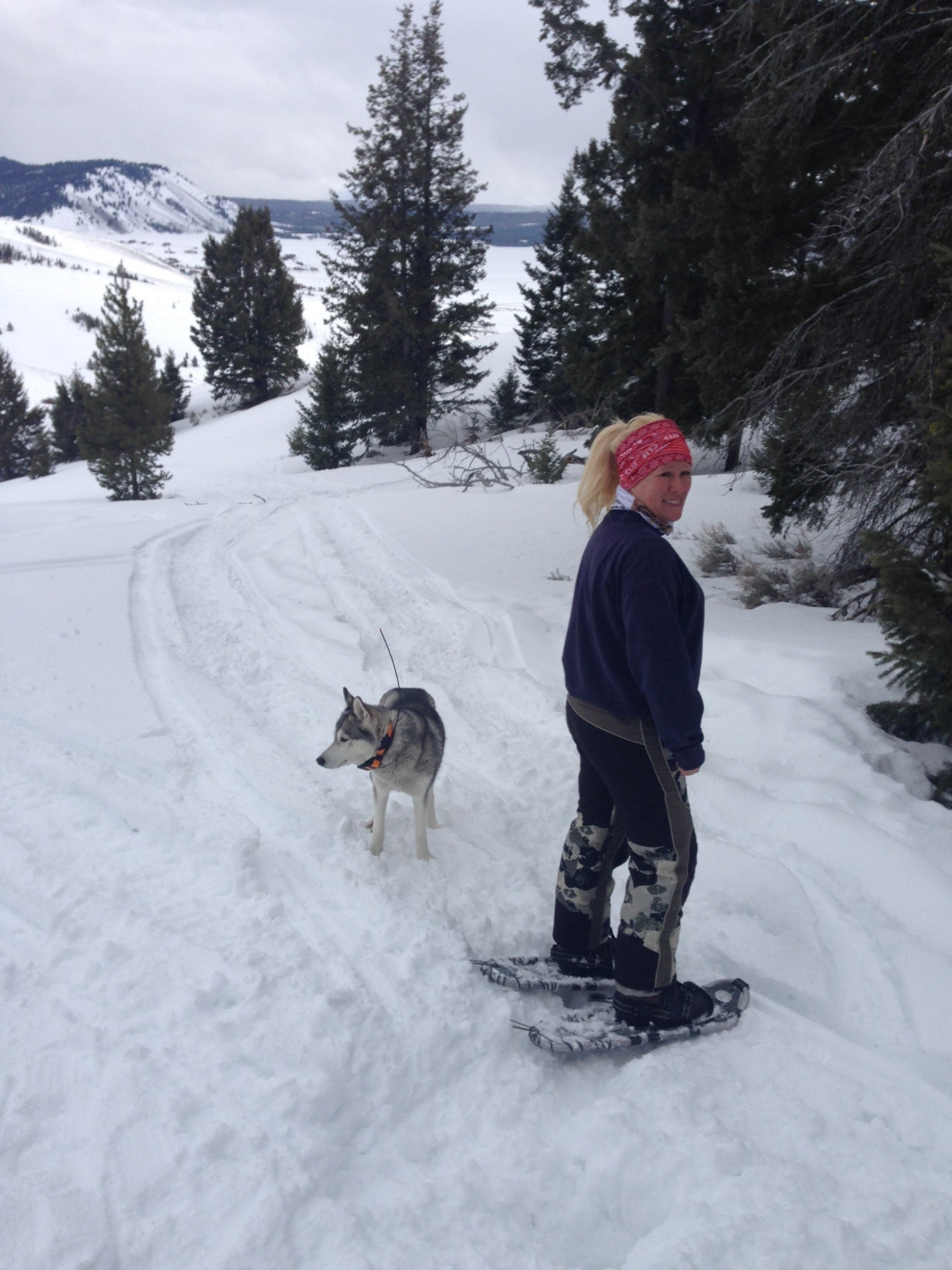 snowshoew with husky in mountains | Stanley chamber