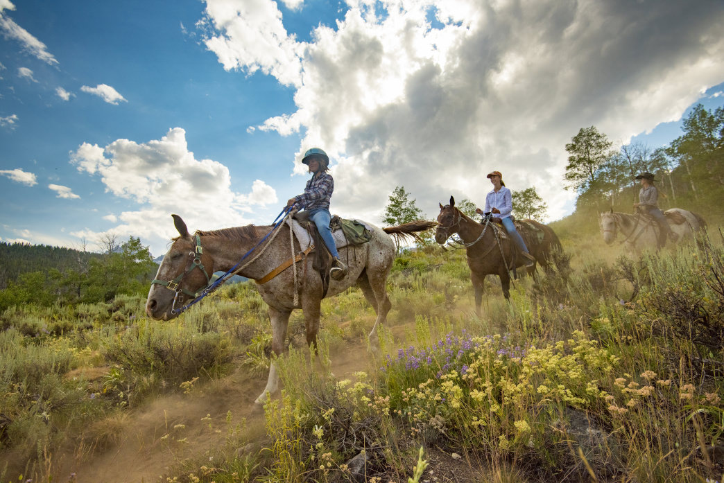 horseback riding mountain trails Stanley, ID | Stanley chamber