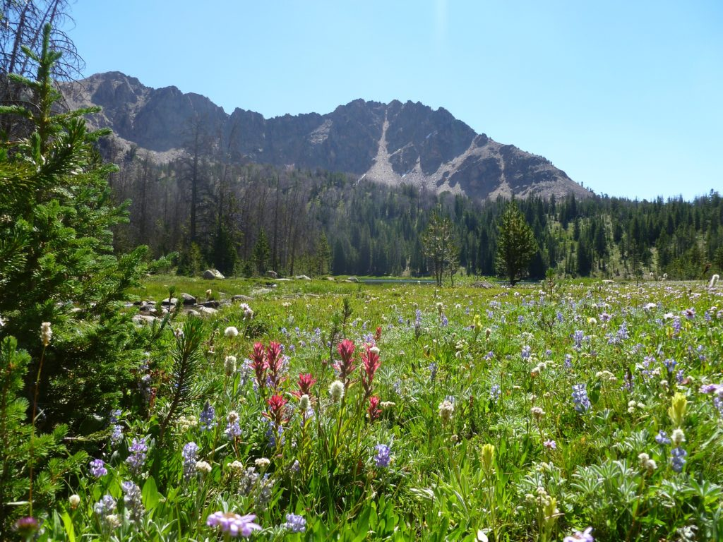4th of July Lake and Meadows - White Cloud Mountains | Stanley chamber
