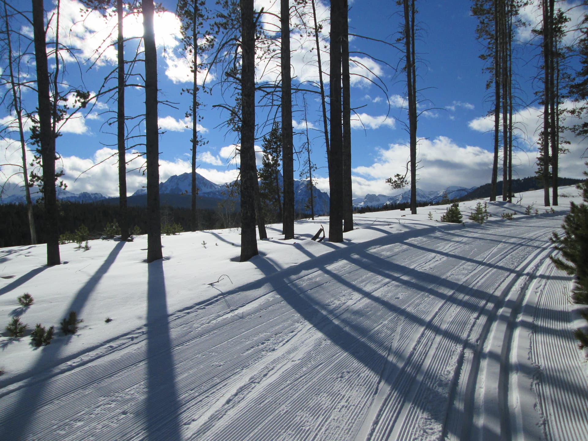 sunny ski trail Stanley, ID | Stanley chamber
