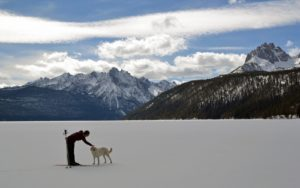A person and a dog on the snow covered lake | Stanley Chamber