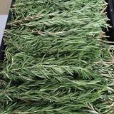 Rosemary (fresh)