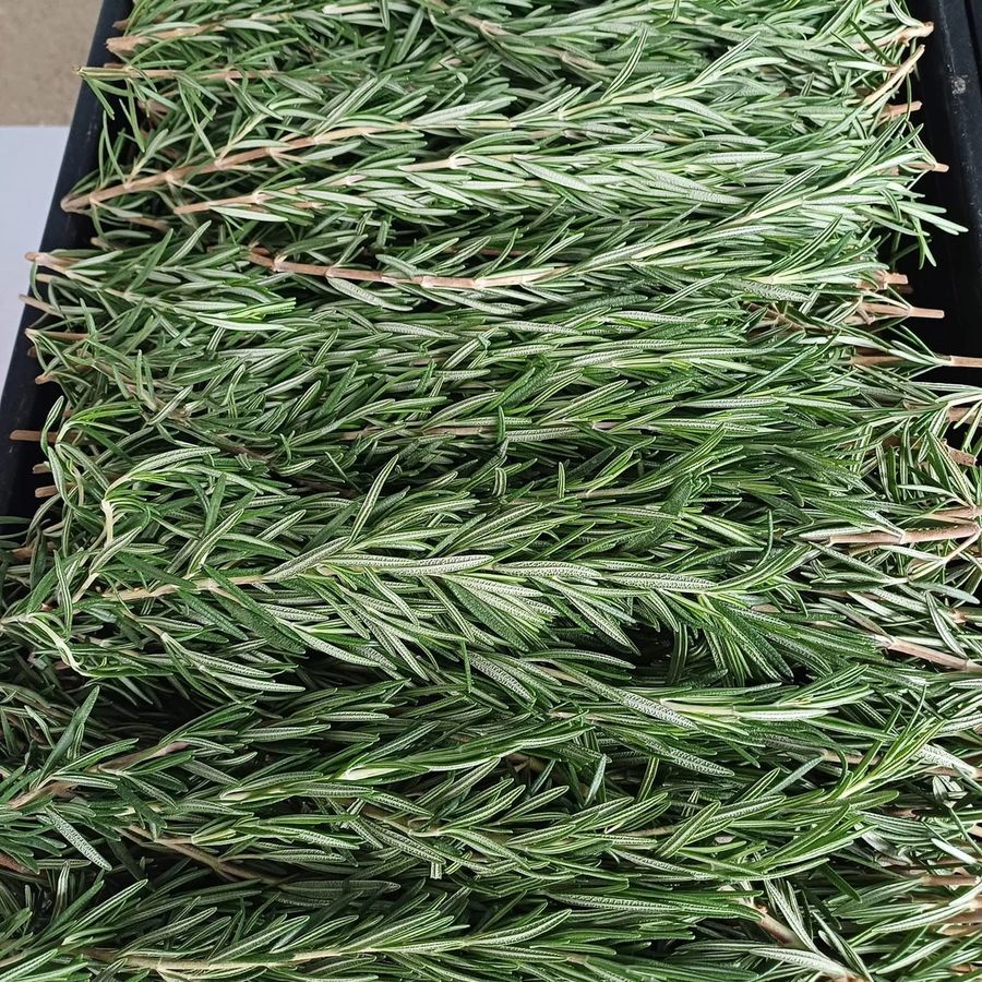 Rosemary (fresh)