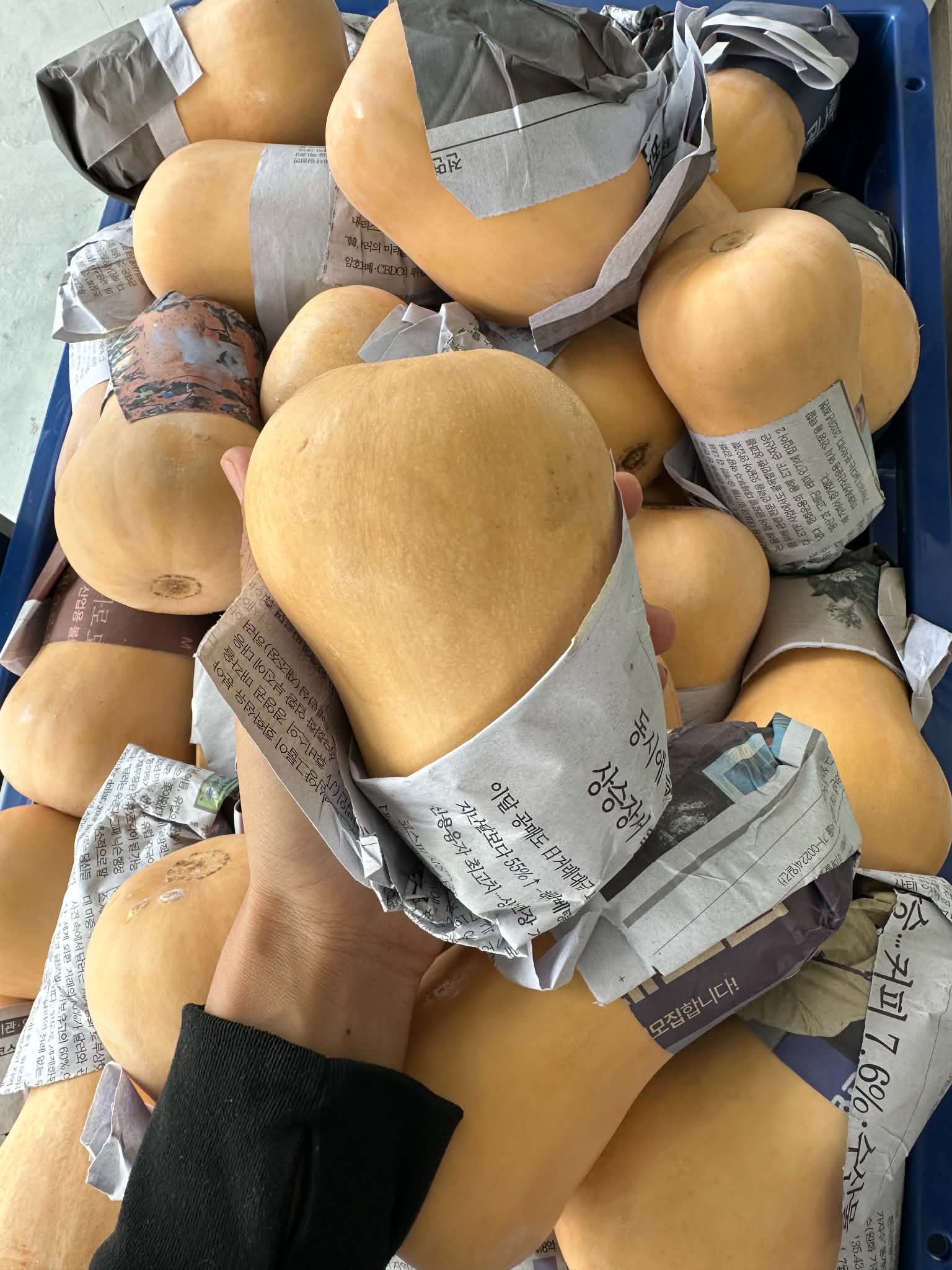 Butternut Pumpkin