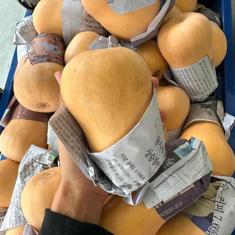 Butternut Pumpkin