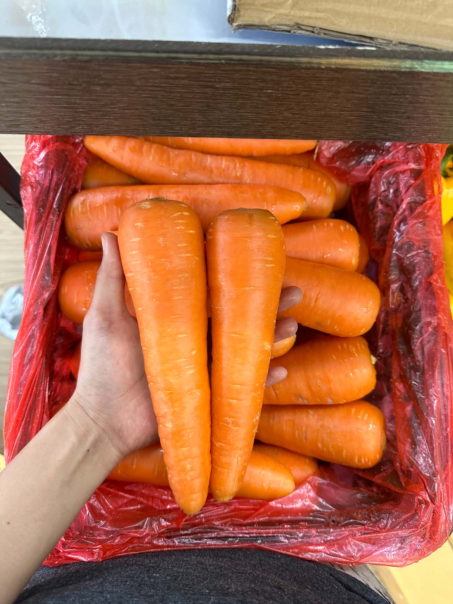 Carrot
