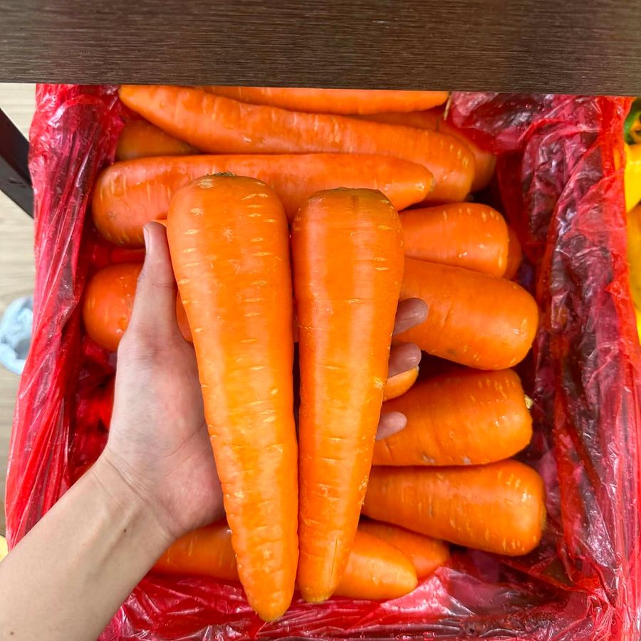 Carrot