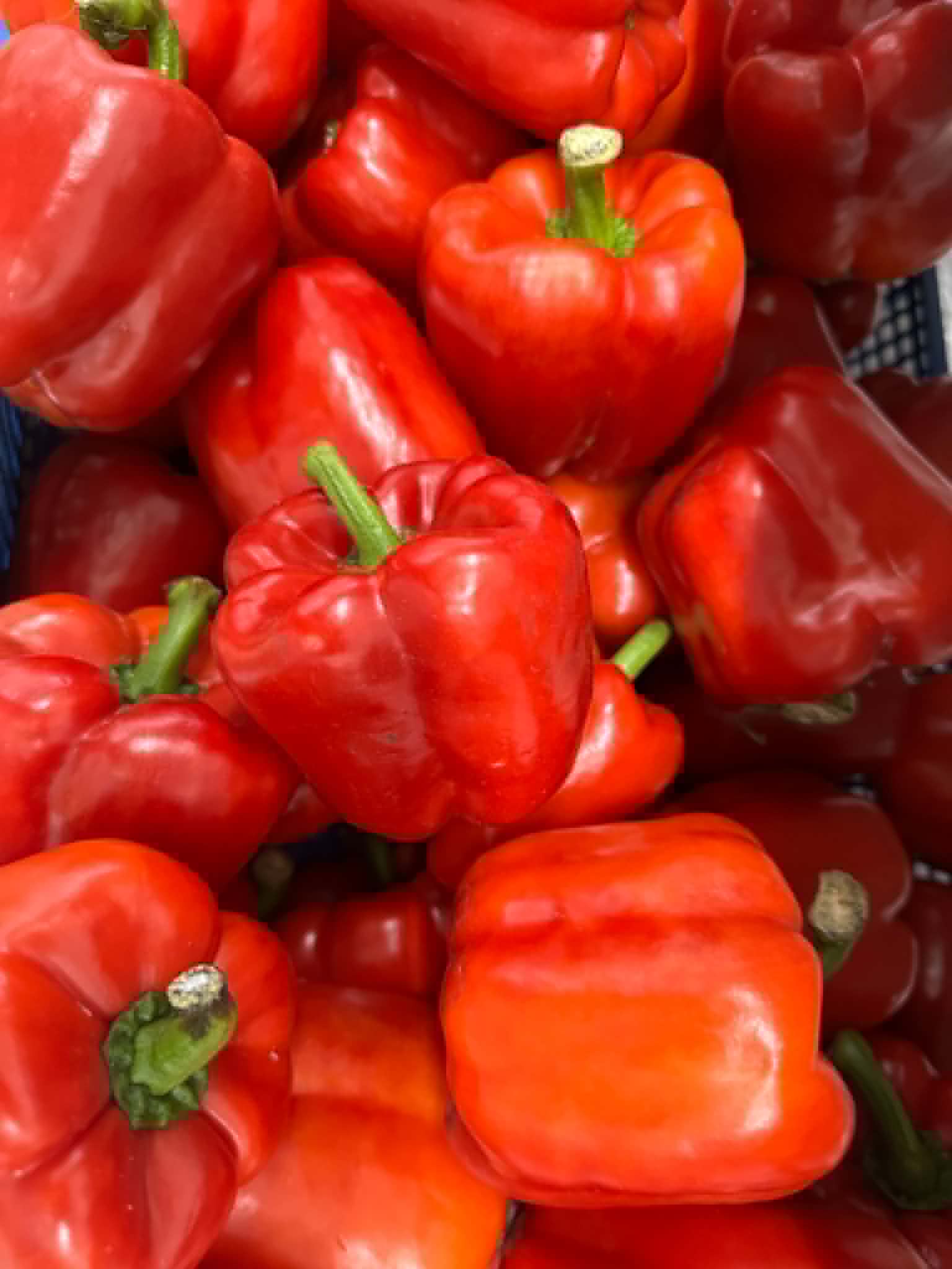Bell Pepper (red)