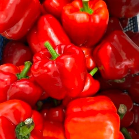 Bell Pepper (red)