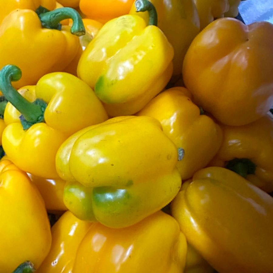 Bell Pepper (yellow)