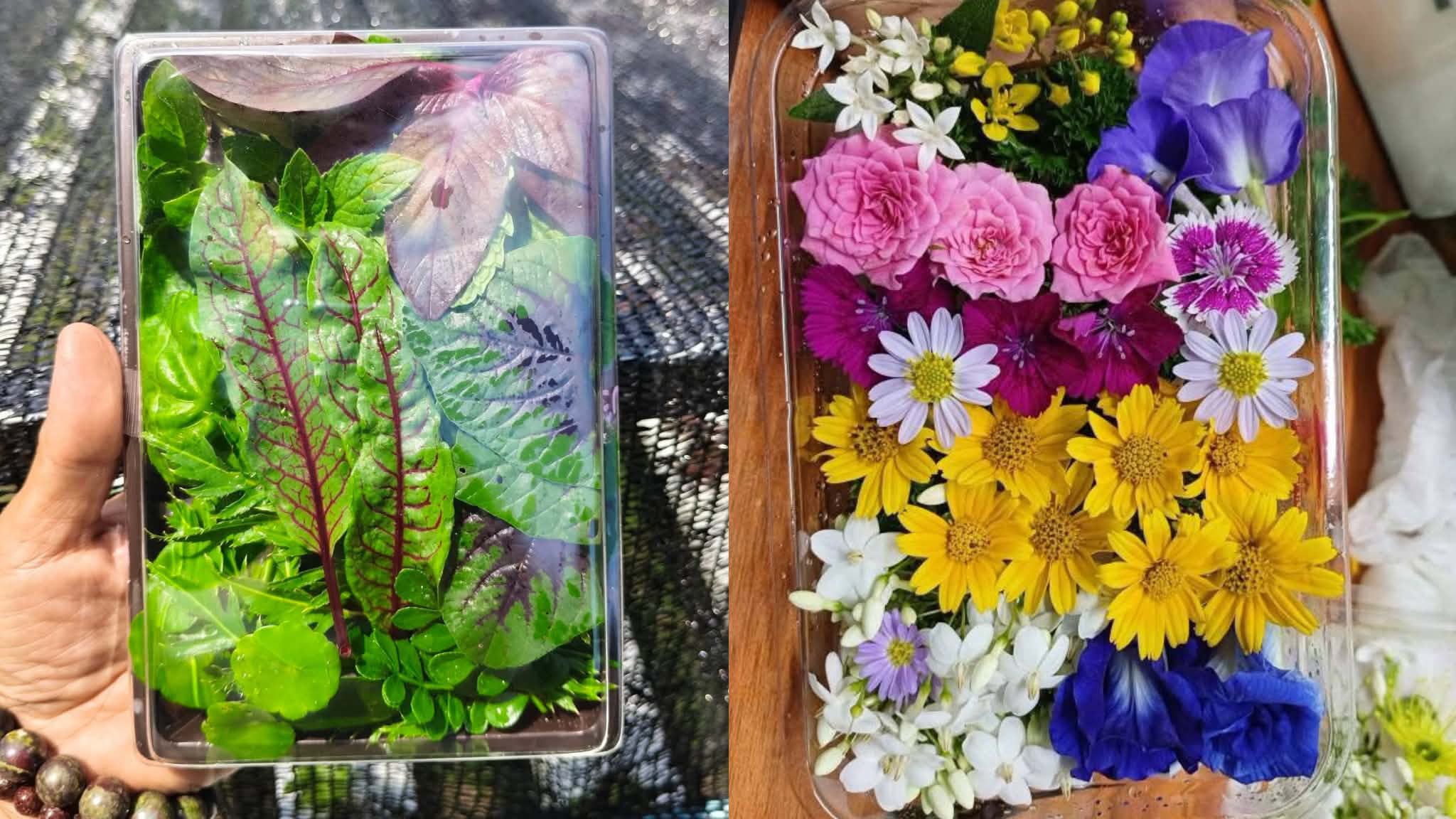 Edible Flowers, Small Box