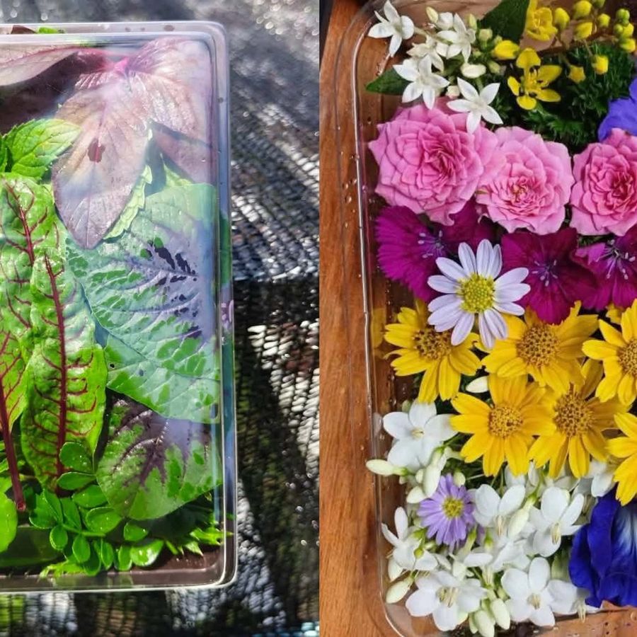 Edible Flowers, Small Box