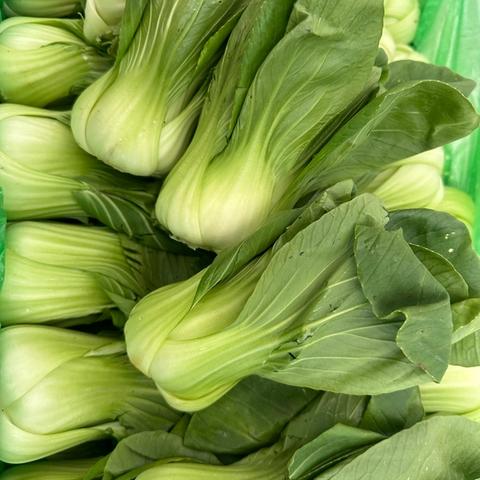 Pak Choy
