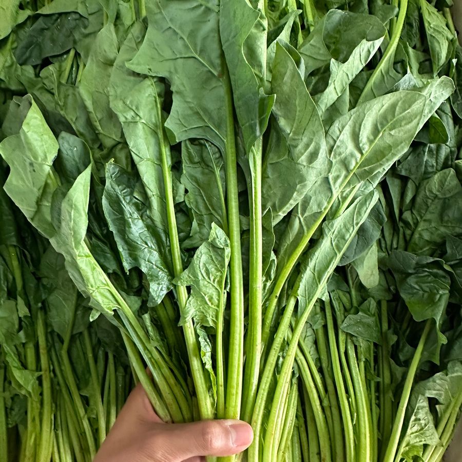 Spinach