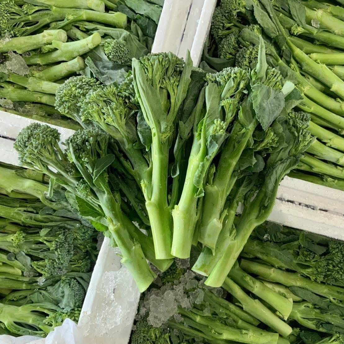 Broccolini